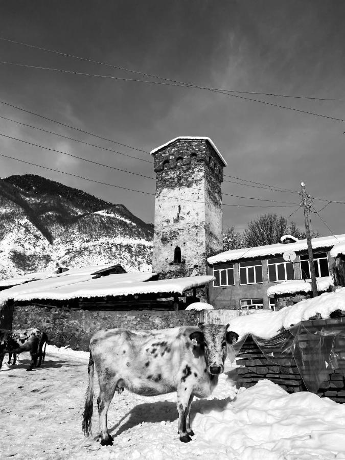 Iuri Udesiani'S Guesthouse Mestia Exterior photo